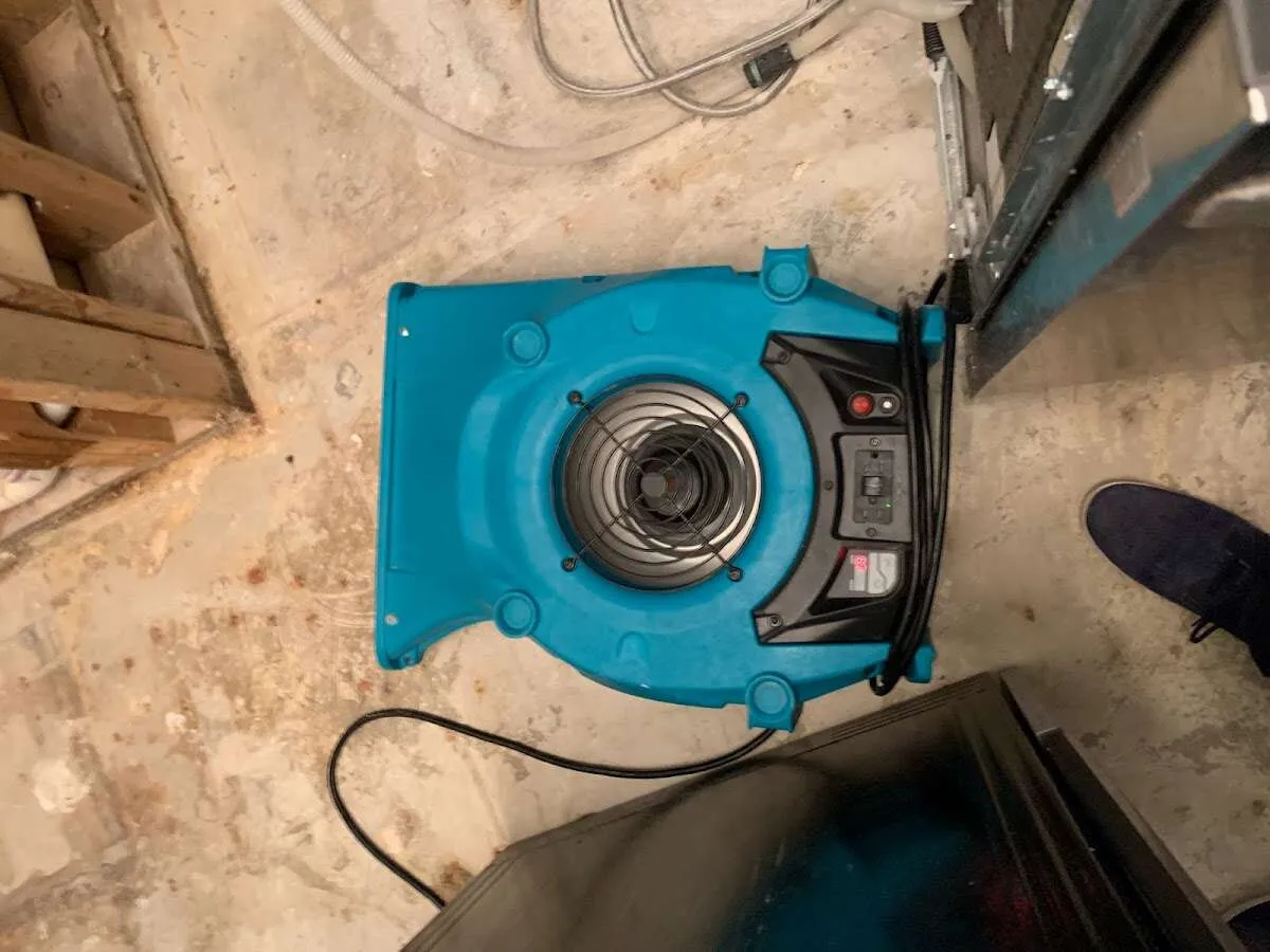Air mover drying equipment for Mold Remediation & Removal in Tigard